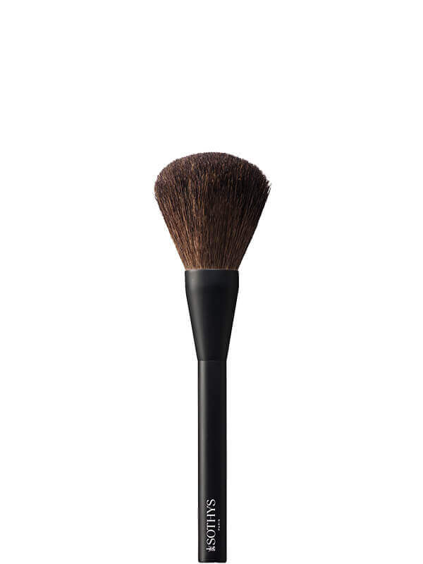 Make Up Brushes